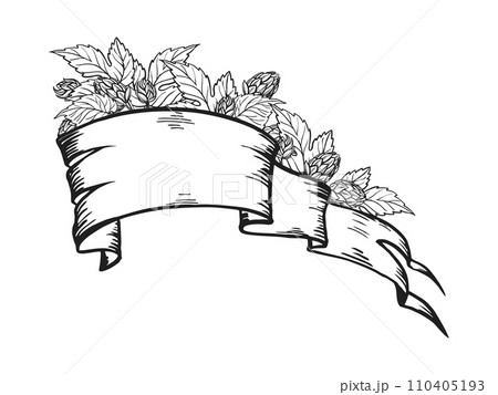 vector illustration of vintage old banner ribbon for text with hop plant, leaf, bud, cone, hand drawn sketch of Oktoberfest theme, black and white illustration of beer festival on white background vector illustration of vintage old banner ribbon for text with hop plant, leaf, bud, cone, hand drawn sketch of Oktoberfest theme, black and white illustration of beer festival on white background 110405193