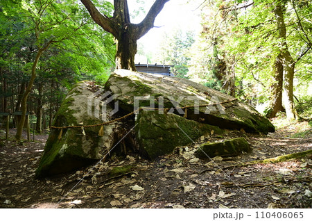 花巻市の名所 丹内山神社 110406065
