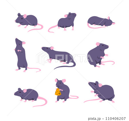 Cartoon Color Characters Mouse and Rat Different Poses Set Concept Flat Design Style. Vector illustration of Mice Animal Cartoon Color Characters Mouse and Rat Different Poses Set Concept Flat Design Style. Vector illustration of Mice Animal 110406207