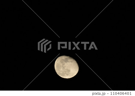 月齢16.7昇った居待月 110406401