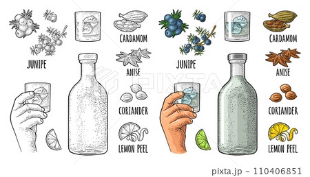 Bottle gin, lime, anise, cardamom, lemon, coriander, juniper. Vintage vector engraving Bottle gin, lime, anise, cardamom, lemon, coriander, juniper. Vintage vector engraving 110406851