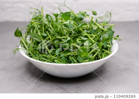Growing greens. Microgreens of peas in plate on grey background 110409269