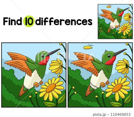 Hummingbird Animal Find The Differences Hummingbird Animal Find The Differences 110409853