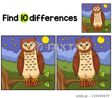 Owl Animal Find The Differences 110409879