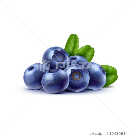 Realistic raw isolated ripe blueberry. 3d vector bountiful pile of ripe hurtleberry berries, glistening with a deep blue hue, nestled among fresh, verdant leaves, evoking the essence of nature bounty 110410614