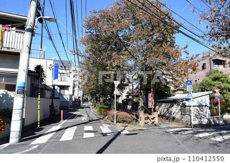 東京都大田区 洗足池駅周辺の住宅街 東京都大田区 洗足池駅周辺の住宅街 110412550