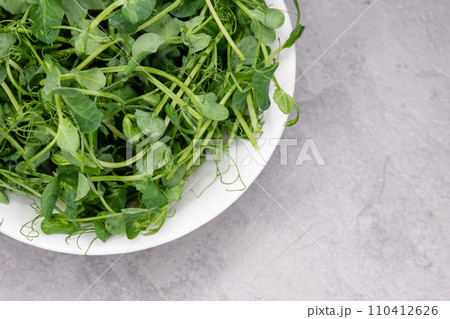 Sprouted peas seeds micro greens. Vitamin dietary microgreen of peas. Sprouted peas seeds micro greens. Vitamin dietary microgreen of peas. 110412626
