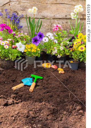 Spring garden decoration with flowers Spring garden decoration with flowers 110414559