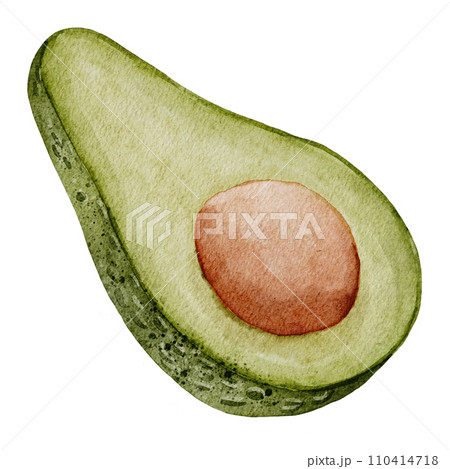 Avocado Watercolor illustration. Hand drawn clip art on isolated white background. Drawing of Half a Fruit with a seed. Vegetable botanical painting for food packaging design. Sketch of a plant. Avocado Watercolor illustration. Hand drawn clip art on isolated white background. Drawing of Half a Fruit with a seed. Vegetable botanical painting for food packaging design. Sketch of a plant. 110414718
