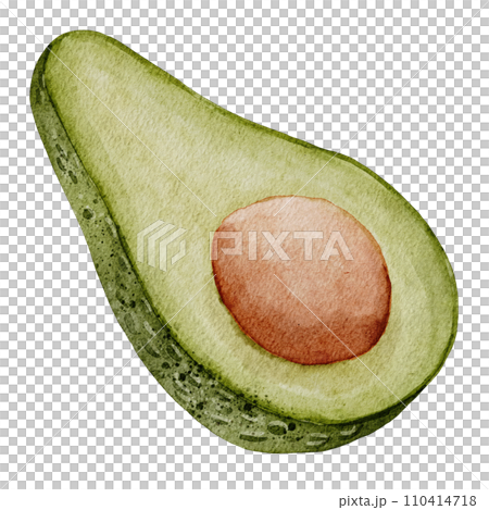 Avocado Watercolor illustration. Hand drawn clip art on isolated white background. Drawing of Half a Fruit with a seed. Vegetable botanical painting for food packaging design. Sketch of a plant. Avocado Watercolor illustration. Hand drawn clip art on isolated white background. Drawing of Half a Fruit with a seed. Vegetable botanical painting for food packaging design. Sketch of a plant. 110414718