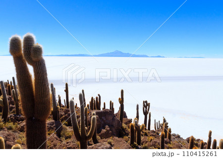 Salar de Uyuni view from Isla Incahuasi 110415261