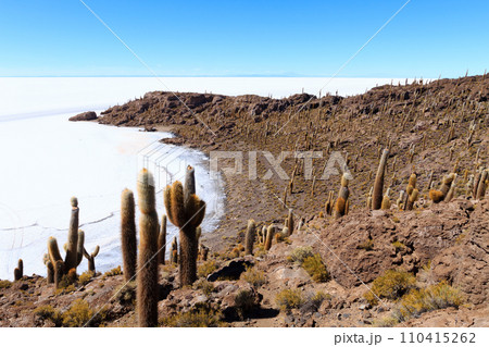 Salar de Uyuni view from Isla Incahuasi 110415262