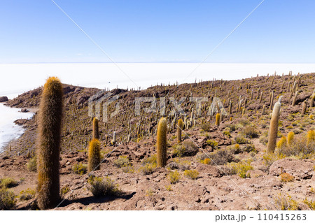 Salar de Uyuni view from Isla Incahuasi 110415263