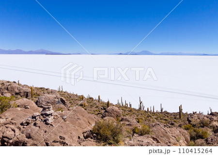 Salar de Uyuni view from Isla Incahuasi 110415264