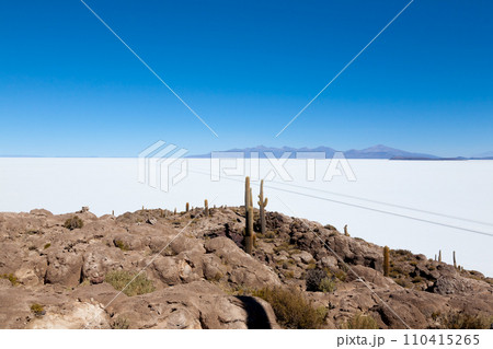 Salar de Uyuni view from Isla Incahuasi 110415265