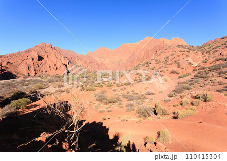 Bolivian canyon near Tupiza,Bolivia 110415304