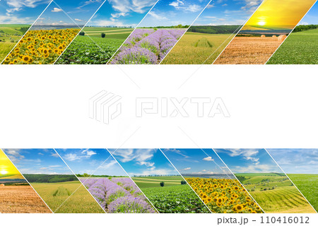 Panoramic view of green field and blue sky. Collage. Free space for text. Panoramic view of green field and blue sky. Collage. Free space for text. 110416012