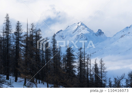 Mountain covered with snow and fog. Alpine landscape in Italy, Europe. Snow-capped mountains 110416073