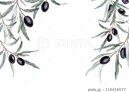 Watercolor banner with green and black olive leaves branches. Olive in bouquet. Decorative element for greeting card. Illustration frame. Pure vegan seasoning. Watercolor banner with green and black olive leaves branches. Olive in bouquet. Decorative element for greeting card. Illustration frame. Pure vegan seasoning. 110416077