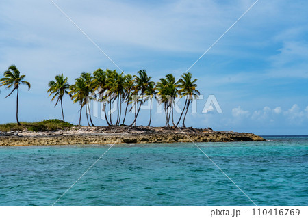 バハマ諸島のケイ　島 110416769