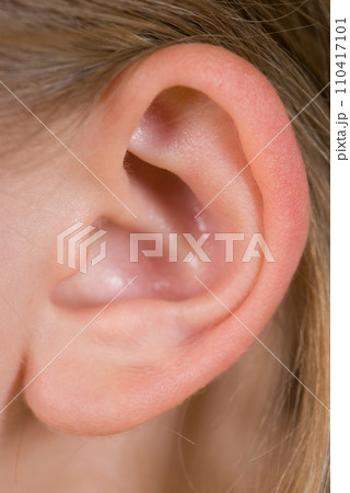 Human Ear Human Ear 110417101