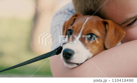 Boy sincerely hugs purebred Jack Russell Terrier on summer day. Child embraces Jack Russell Terrier sitting in garden. Kid shares heartfelt hug with adorable Jack Russell Terrier under bright sun Boy sincerely hugs purebred Jack Russell Terrier on summer day. Child embraces Jack Russell Terrier sitting in garden. Kid shares heartfelt hug with adorable Jack Russell Terrier under bright sun 110418490