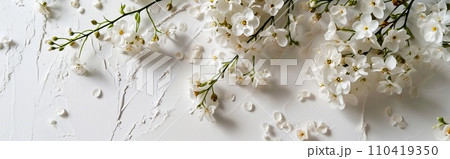 Forget-me-nots on white background. Minimalistic design. Copy space Forget-me-nots on white background. Minimalistic design. Copy space 110419350