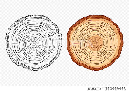 Tree Rings, Oak and Pine Slices, Lumber, and Timber Cross Section with Saw Cut Detail. Tree Trunk, Wood Log, Pine, Oak Slices, Lumber, Cut Timber. Hand Drawn, Design Element 110419458