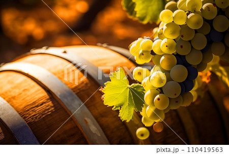 Wine Grape on oak barrels. Wine Grape on oak barrels. 110419563