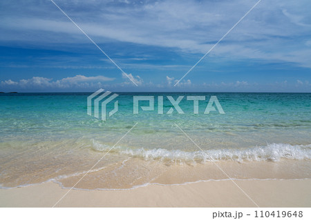美しいカリブ海のビーチ 美しいカリブ海のビーチ 110419648