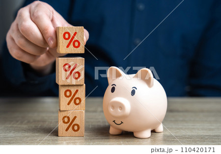 Deposit with high interest and good profitability. Collect savings. Attract investment. Accumulation of interest rate. Deposits and savings benefits. Get more income and profit. Piggy bank. Deposit with high interest and good profitability. Collect savings. Attract investment. Accumulation of interest rate. Deposits and savings benefits. Get more income and profit. Piggy bank. 110420171