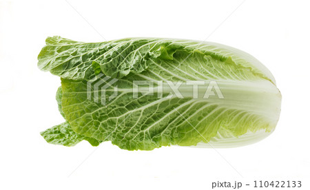 白菜　白バック 110422133
