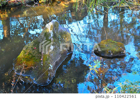 水辺の冬景色　荒川運動公園通り沿い　さいたま市 110422561