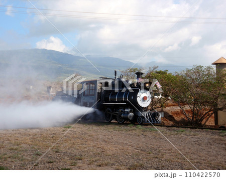 Sugar Cane Steam Train lets off steam Sugar Cane Steam Train lets off steam 110422570