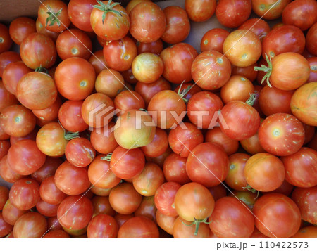 Tomatoes of Red wtih spots of orange, and green color 110422573