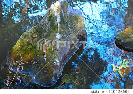 水辺の冬景色 荒川運動公園通り沿い さいたま市 水辺の冬景色 荒川運動公園通り沿い さいたま市 110422602