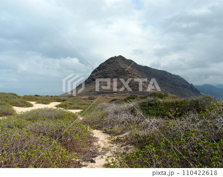 Sand trail at Kaena Point 110422618