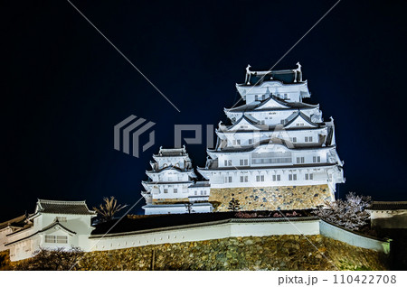 姫路城　サクラの夜景 110422708