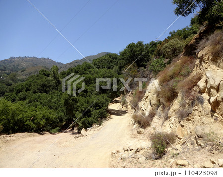 Bend in Dirt road through hills 110423098