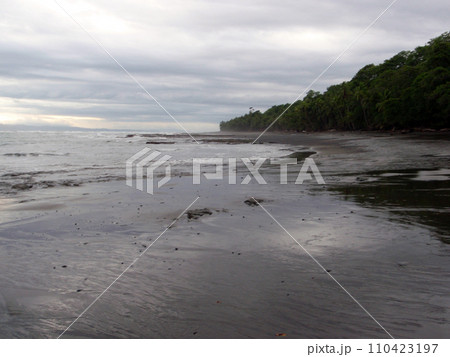 Empty black sand beach in Punta Banco, Costa Rica 110423197