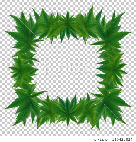 Grass leaf frame icon illustration 110423824