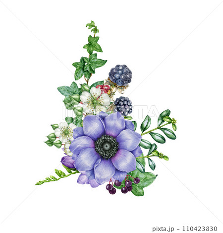 Vintage style spring flower decor. Watercolor illustration. Hand painted garden lush flowers with green leaves decoration. Blue anemone, raspberry, ivy leaf element. Springtime natural decor Vintage style spring flower decor. Watercolor illustration. Hand painted garden lush flowers with green leaves decoration. Blue anemone, raspberry, ivy leaf element. Springtime natural decor 110423830