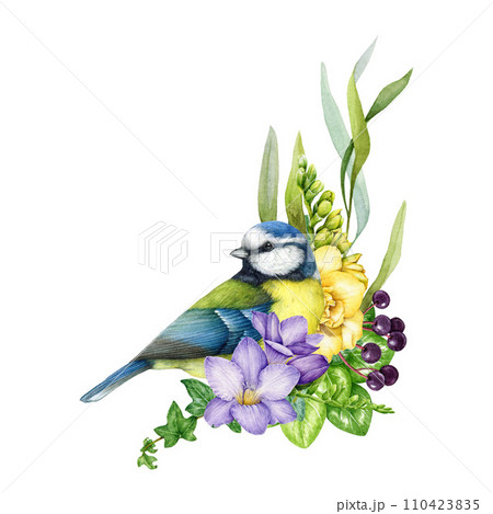 Garden flowers decor with blue tit bird. Watercolor illustration. Painted backyard bird with garden flowers, freesia, leaves decoration element. Floral decor with chickadee. White background 110423835