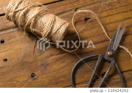 Old-fashioned scissors 110424202