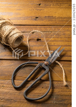 Old-fashioned scissors 110424203