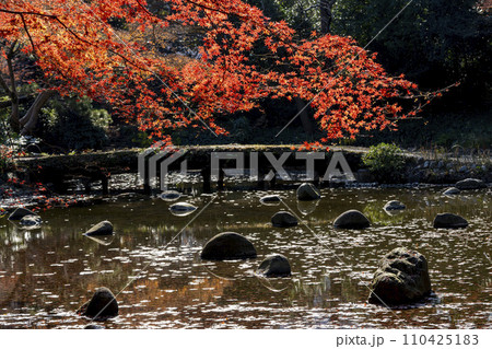 京都の渡月橋を模して造られた池・水面の石に赤い紅葉が映える・小石川後楽園・文京区 京都の渡月橋を模して造られた池・水面の石に赤い紅葉が映える・小石川後楽園・文京区 110425183