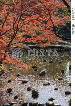 京都の渡月橋を模して造られた池・水面の石に赤い紅葉が映える・小石川後楽園・文京区 京都の渡月橋を模して造られた池・水面の石に赤い紅葉が映える・小石川後楽園・文京区 110425466