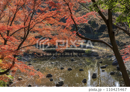 京都の渡月橋を模して造られた池・水面の石に赤い紅葉が映える・小石川後楽園・文京区 京都の渡月橋を模して造られた池・水面の石に赤い紅葉が映える・小石川後楽園・文京区 110425467