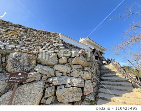 徳川300年の歴史を刻む出世城、浜松城 110425495