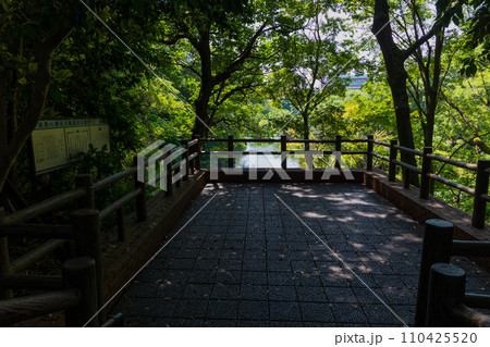静岡県清水町　富士山の湧き水　柿田川公園（柿田川湧水群） 110425520